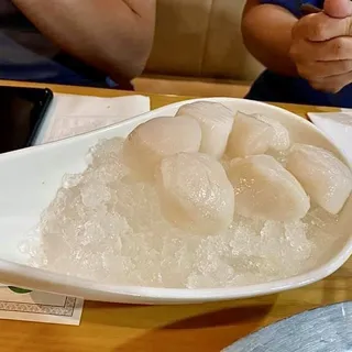 Jumbo Scallop