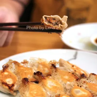 Inside of Lamb and Carrot Fried Dumplings 羊肉胡萝卜 ($17.99) - good. The dumplings are juicy though not as much as the pork