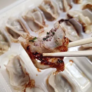 Pan-fried lamb and coriander dumplings