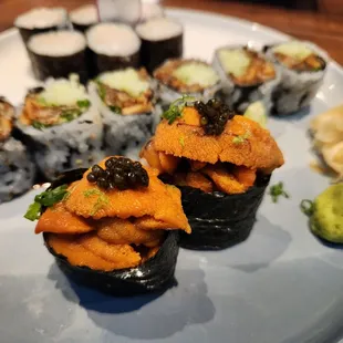 Japanese Urchin sushi