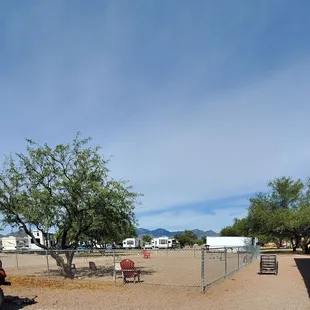 Front Doggie play pen behind front clubhouse