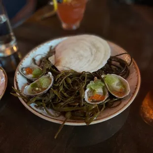 Oysters.