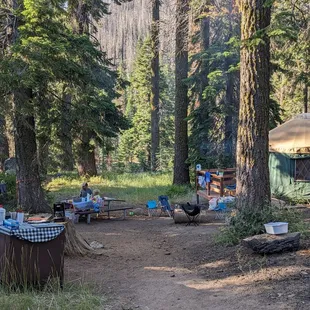 Quaking Aspen Campground