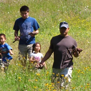 Walking through the adjacent meadow