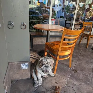 Outside the boba shop