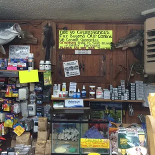 Live bait and everything else under the sun!!