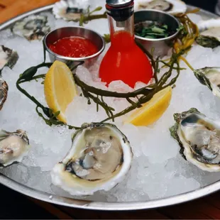 Oysters
