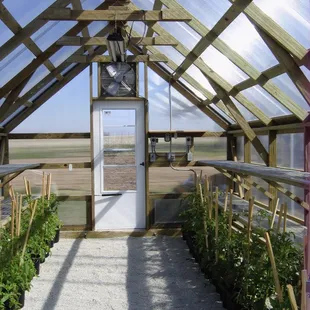 Greenhouse Interior