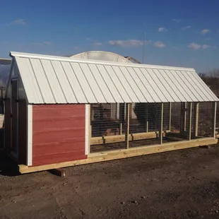 Chicken Coop