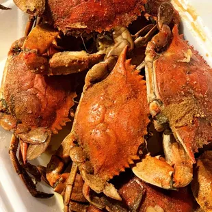 Blue Crabs