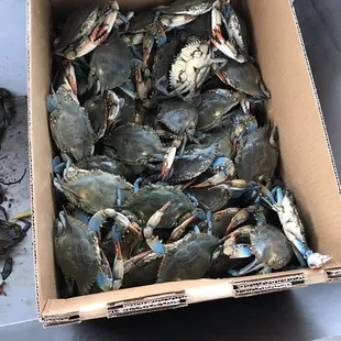 Blue crab $6.99 lb (Price varies)