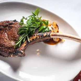 food, oysters and mussels