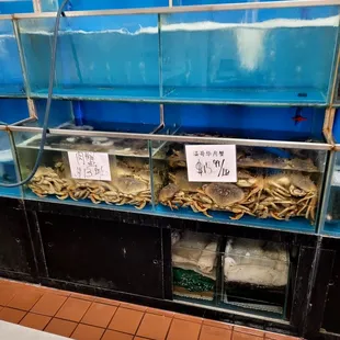 a variety of seafoods in containers