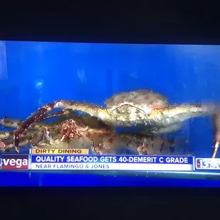 DIRTY DINING!! Stop trying to delete the photos it's public information this business has a C grade!!