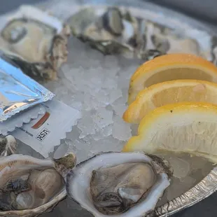 Oyster