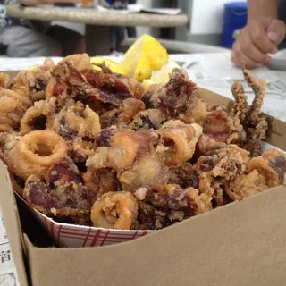 Fried Calamari