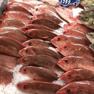 Fresh Whole Mexican Snapper (Pargo) Wild