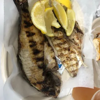 Fresh, Whole Seabream (Farm Raised)