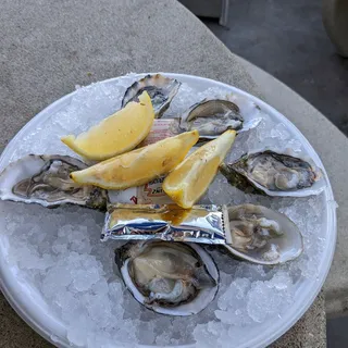 Fresh (Live) Baja Oysters