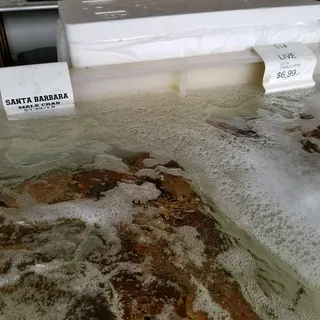 Fresh (Live) Local Crab -Male