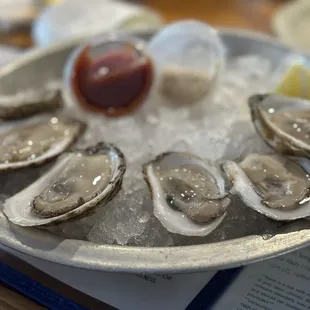 Oysters