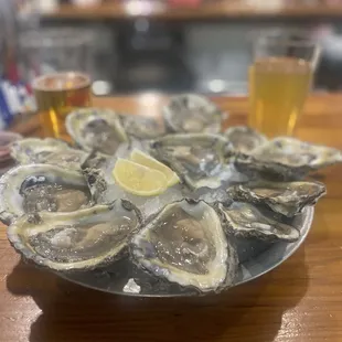 Dozen Gulf Oysters on a half shell