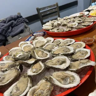 Raw Oysters
