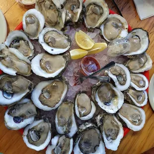 Oysters on the Half Shell
