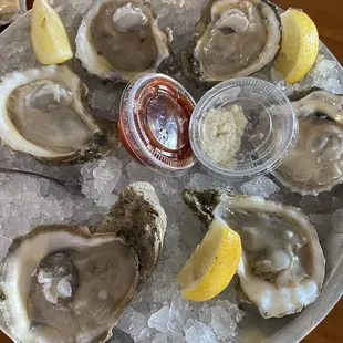 Gulf Coast Oysters