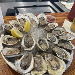 East Coast Oysters