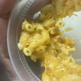 pasta dish, pasta, food