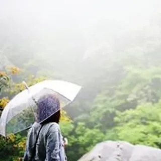 Khue V.
