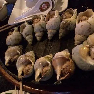 oysters and mussels, oysters, food, mussels, shellfish