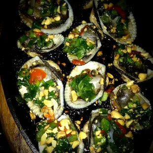 mussels, food, oysters and mussels, shellfish, oysters