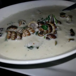 Coconut Snails