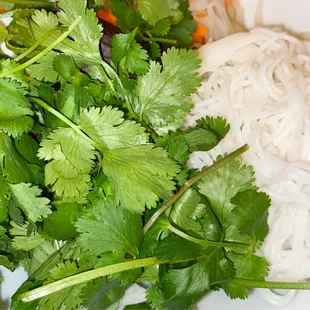 Cilantro, Noodles &amp; Pickled Veggies