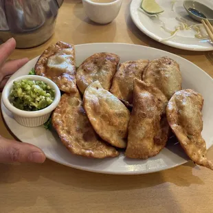 Fried Dumplings