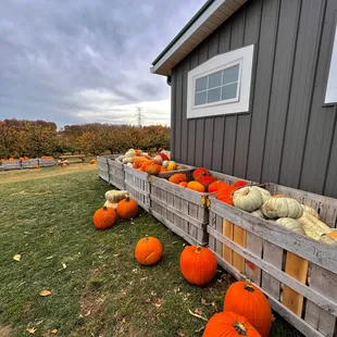 Quarry Hill Orchards