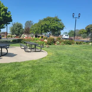 Nice area for sitting near by play ground but with poop everywhere