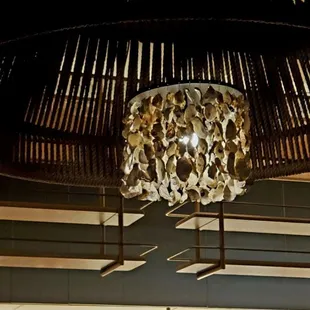 Oyster shells are the light!