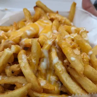 Cheese fries!!!