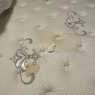 Toilet paper? Tissue paper found under mattress cover of urine stained,  king mattress.