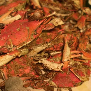 Large 2.5 pounds @Quarterdeck