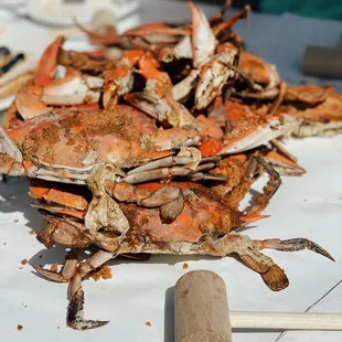 a pile of crabs on a table