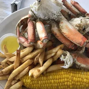 Dungeness Crabs
