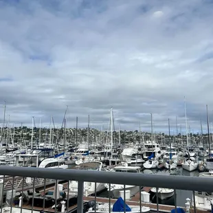 a marina full of boats