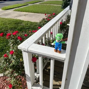 Louigi won from the grabber machine!