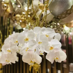 Christmas decorations in the Four seasons Hotel
