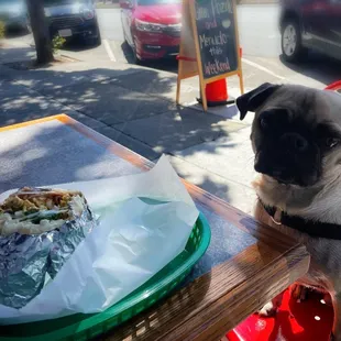 May I have a bite to eat please? You won't even miss it.