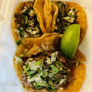 Birria Red Taco
